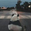 贤三少