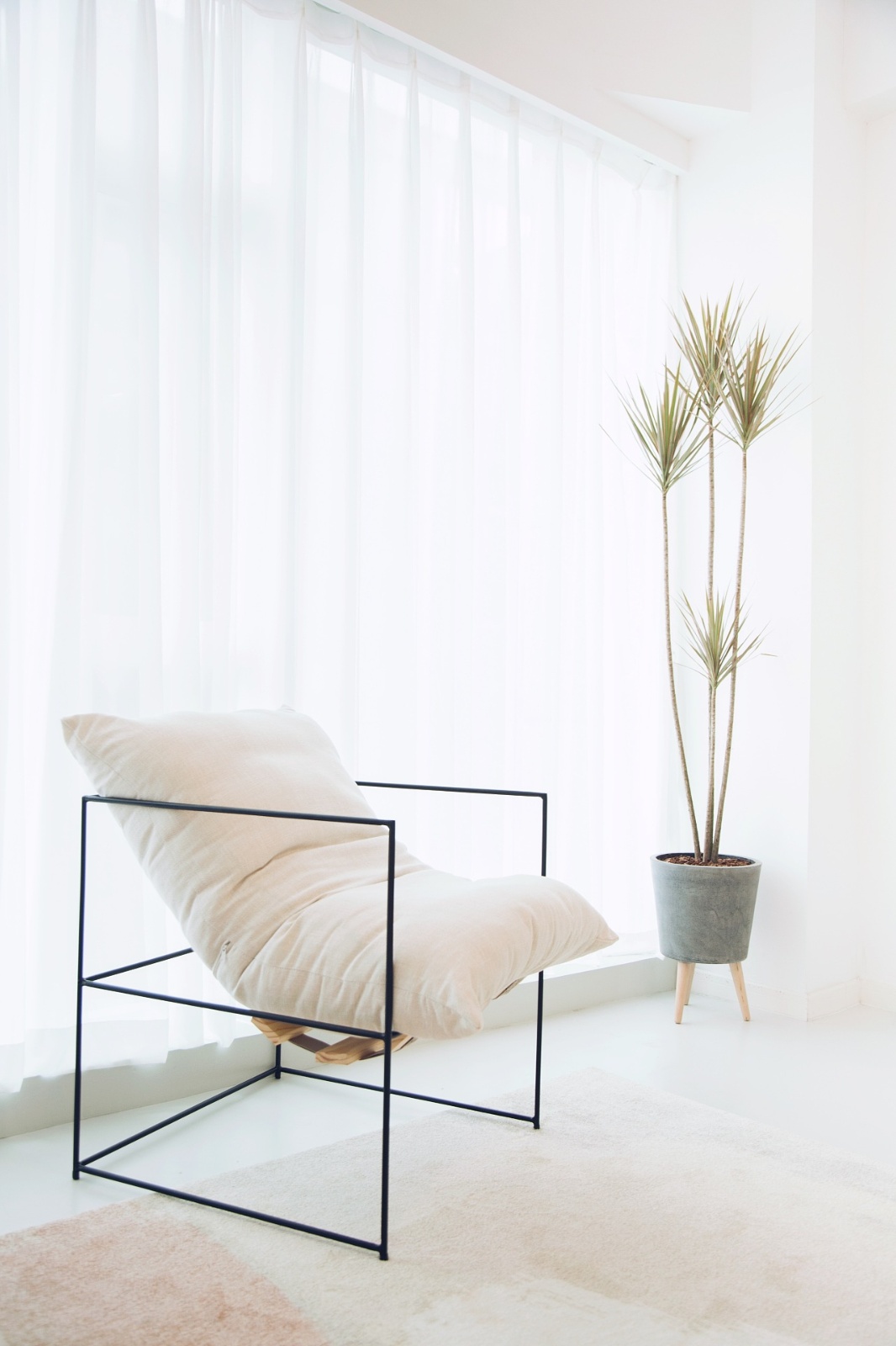 2a.jpg