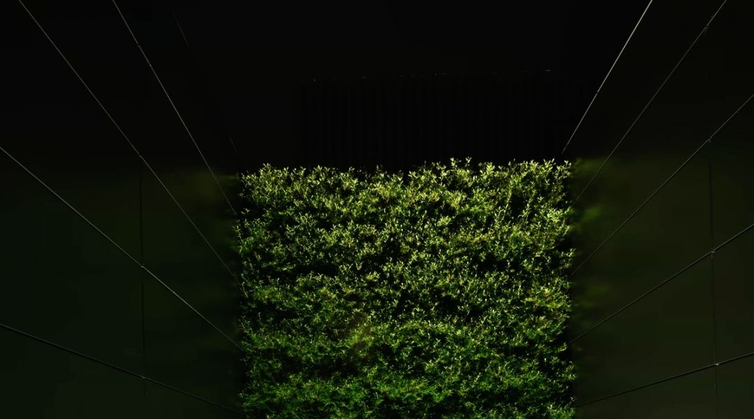 12498d0a274a721181c532040e6525e3.jpg